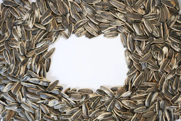 Organic Sunflower Seed Background White Space Copy — Stock Photo, Image
