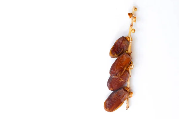 Dates Fruits Isolés Sur Fond Blanc Vue Dessus Modèle Pose — Photo