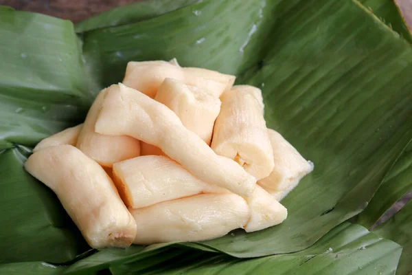 Tapai Cinta Peuyeum Son Bocadillos Comida Tradicional Indonesia Hechos Yuca —  Fotos de Stock