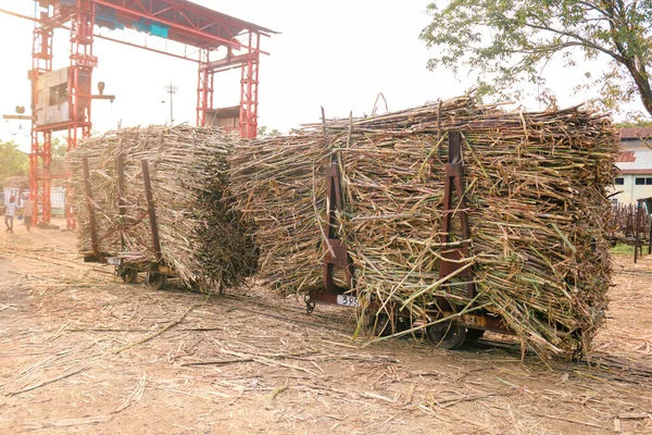 Steel Old Train Loaded Freshly Harvested Sugarcane Ready Transport Sugar — Stock Photo, Image