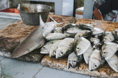 Pazarda satılık taze balık yığınının fotoğrafını çek..