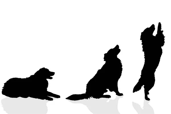 白い背景に分離された犬の黒いシルエット — ストックベクタ