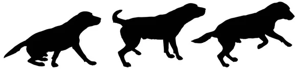 Siluetas Negras Perros Aislados Sobre Fondo Blanco — Vector de stock