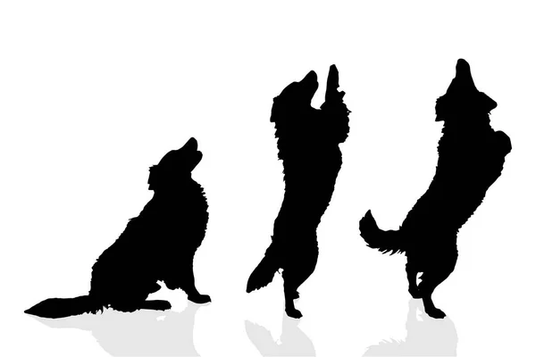 Black Silhouettes Dogs Isolated White Background — Stock Vector