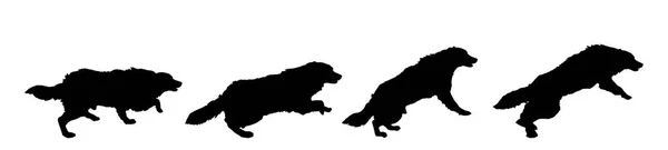 Black Silhouettes Dogs Isolated White Background — Stock Vector