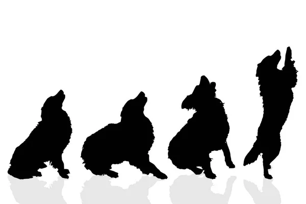 Чорні Силуети Собак Ізольовані Білому Тлі — стоковий вектор