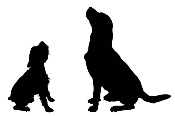 Black Silhouettes Dogs Isolated White Background — Stock Vector