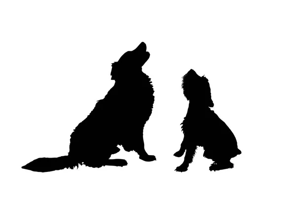 Black Silhouettes Dogs Isolated White Background — Stock Vector