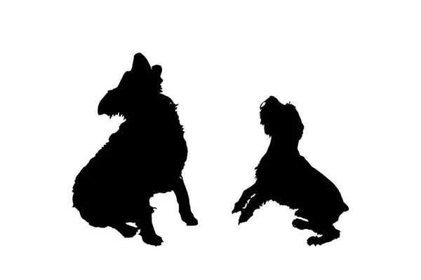 Black Silhouettes Dogs Isolated White Background — Stock Vector