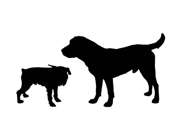 Schwarze Silhouetten Von Hunden Isoliert Auf Weißem Hintergrund — Stockvektor