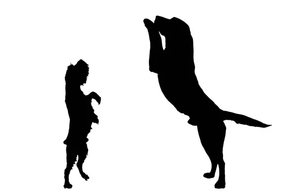Svarta Silhuetter Hundar Isolerade Vit Bakgrund — Stock vektor