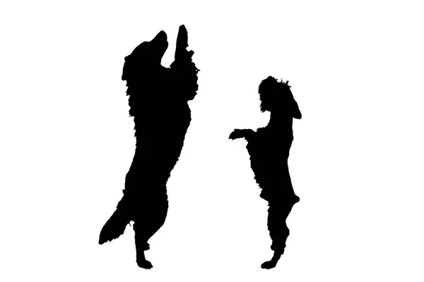 白い背景に分離された犬の黒いシルエット — ストックベクタ