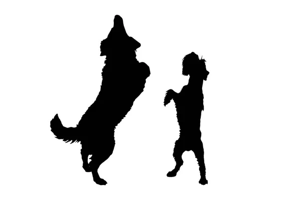 Black Silhouettes Dogs Isolated White Background — Stock Vector