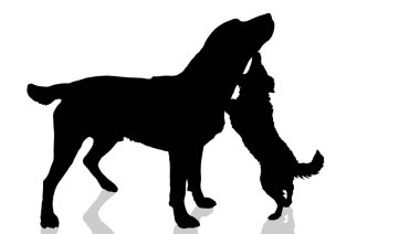 Beyaz bir arka planda köpekler siluet vektör.