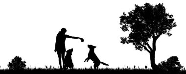 Şehir dışında bir köpek bir kadınla vektör çizim.