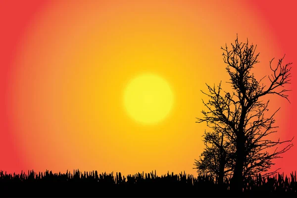 Vektor Silhuett Naturen Med Träd Vid Solnedgången — Stock vektor
