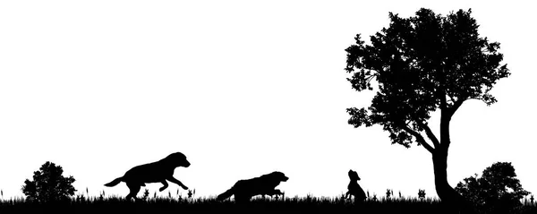 田舎で犬のベクトル イラスト — ストックベクタ