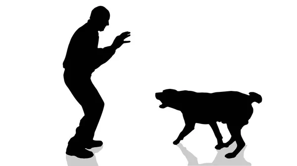 Silhueta Vetorial Homem Com Cão —  Vetores de Stock