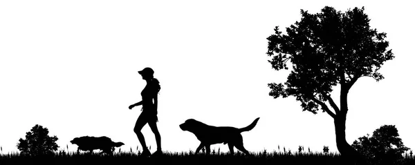 Vector Afbeelding Van Een Vrouw Met Een Hond Het Platteland — Stockvector