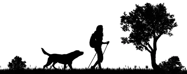 Ilustración Vectorial Una Mujer Con Perro Campo — Archivo Imágenes Vectoriales