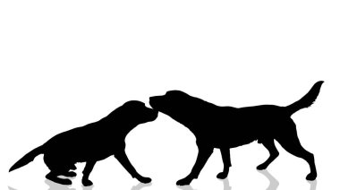 Beyaz bir arka planda köpekler siluet vektör.