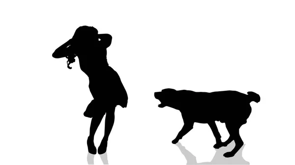 Silhouette Vettoriale Una Donna Con Cane — Vettoriale Stock