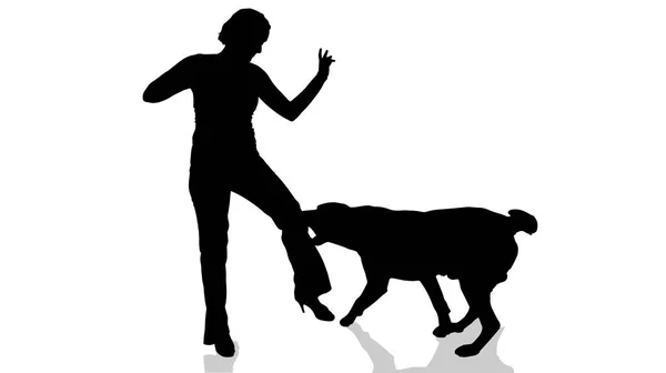 犬を持つ女性のベクトル シルエット — ストックベクタ