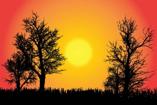 Vektor Silhuett Naturen Med Träd Vid Solnedgången — Stock vektor