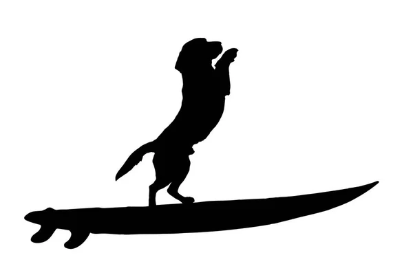 Silhouette Vectorielle Chien Avec Planche Surf Sur Fond Blanc — Image vectorielle