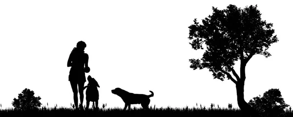 Vector Afbeelding Van Een Vrouw Met Een Hond Het Platteland — Stockvector