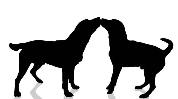 Vector Dogs Silhouette White Background — Stock Vector