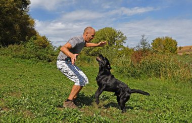 Adam güneşli gün parkta köpek ile oynuyor.