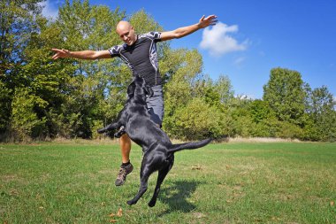 Adam parkta köpek ile güneşli gün atlama.