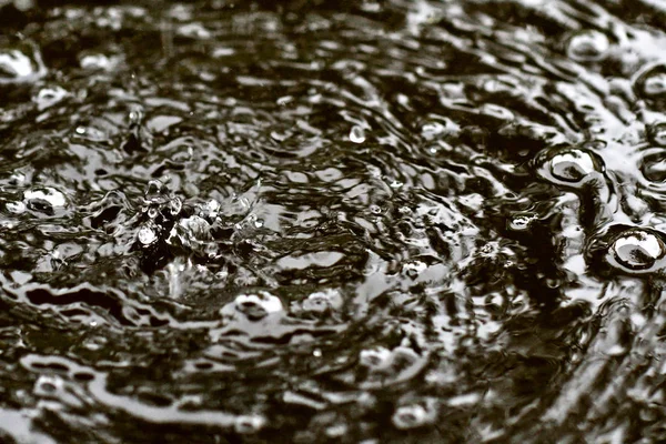 Gotas Agua Caen Estanque Bajo Lluvia — Foto de Stock