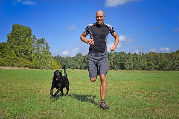 Mann Läuft Bei Sonnigem Wetter Mit Hund Park — Stockfoto