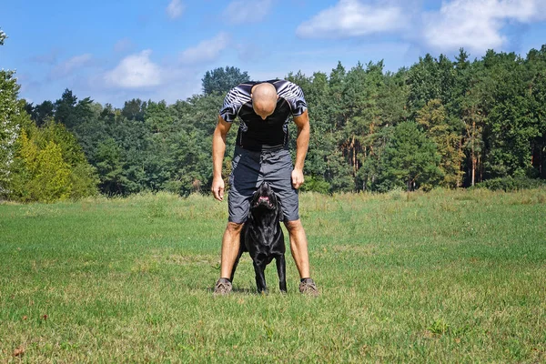 Мужчина Бегает Собакой Парке Солнечный День — стоковое фото