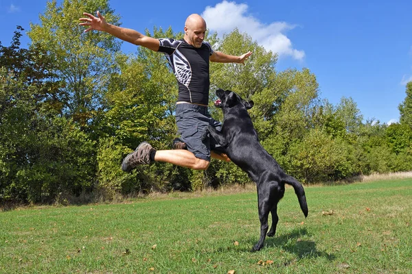 Man jumping with dog in the park at sunny day.