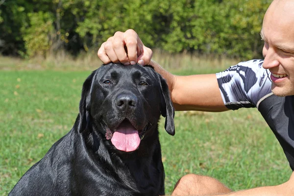 Schwarzer Hund Mit Junge Park Bei Sonnigem Tag — Stockfoto