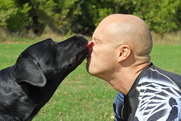 Cão Preto Dar Beijo Homem Parque Dia Ensolarado — Fotografia de Stock