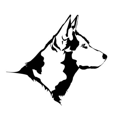 Beyaz arkaplanda bir köpeğin vektör silueti.
