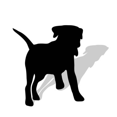Beyaz bir arka plan üzerinde köpek vektör çizim.