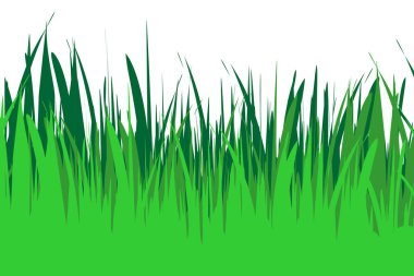 Çim beyaz arka plan üzerinde vektör çizim.