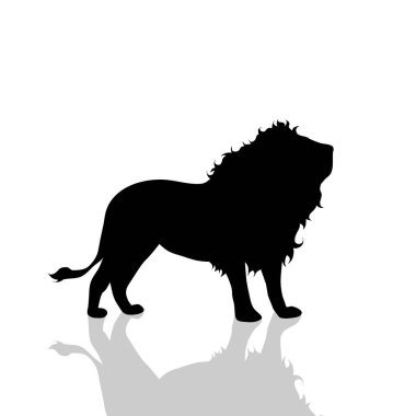 Beyaz zemin üzerinde bir aslan vektör çizim.