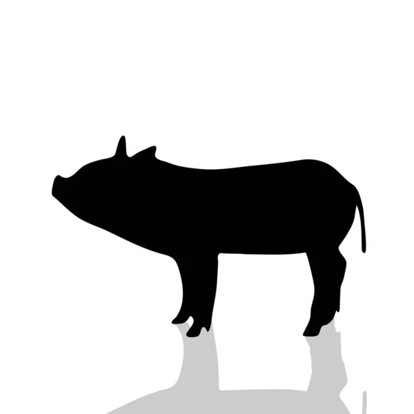 Vektor Silhouette Von Schwein Auf Weißem Hintergrund — Stockvektor