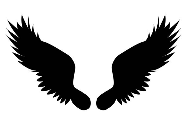 Vector silhouette of a wings on a white background.