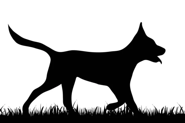 Vectorillustratie Van Hond Een Witte Achtergrond — Stockvector