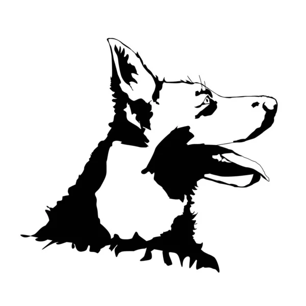 Silhouette Vectorielle Chien Sur Fond Blanc — Image vectorielle