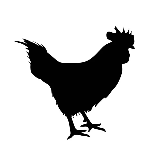 Silueta Vectorial Una Gallina Sobre Fondo Blanco — Vector de stock