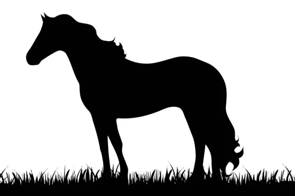 白い背景の上の馬のベクトル シルエット — ストックベクタ