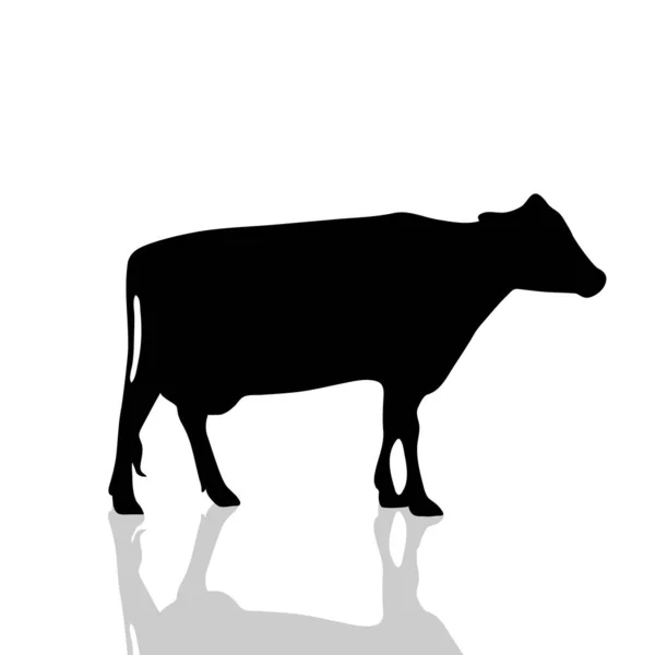 Vektor Silhouette Der Kuh Auf Weißem Hintergrund — Stockvektor